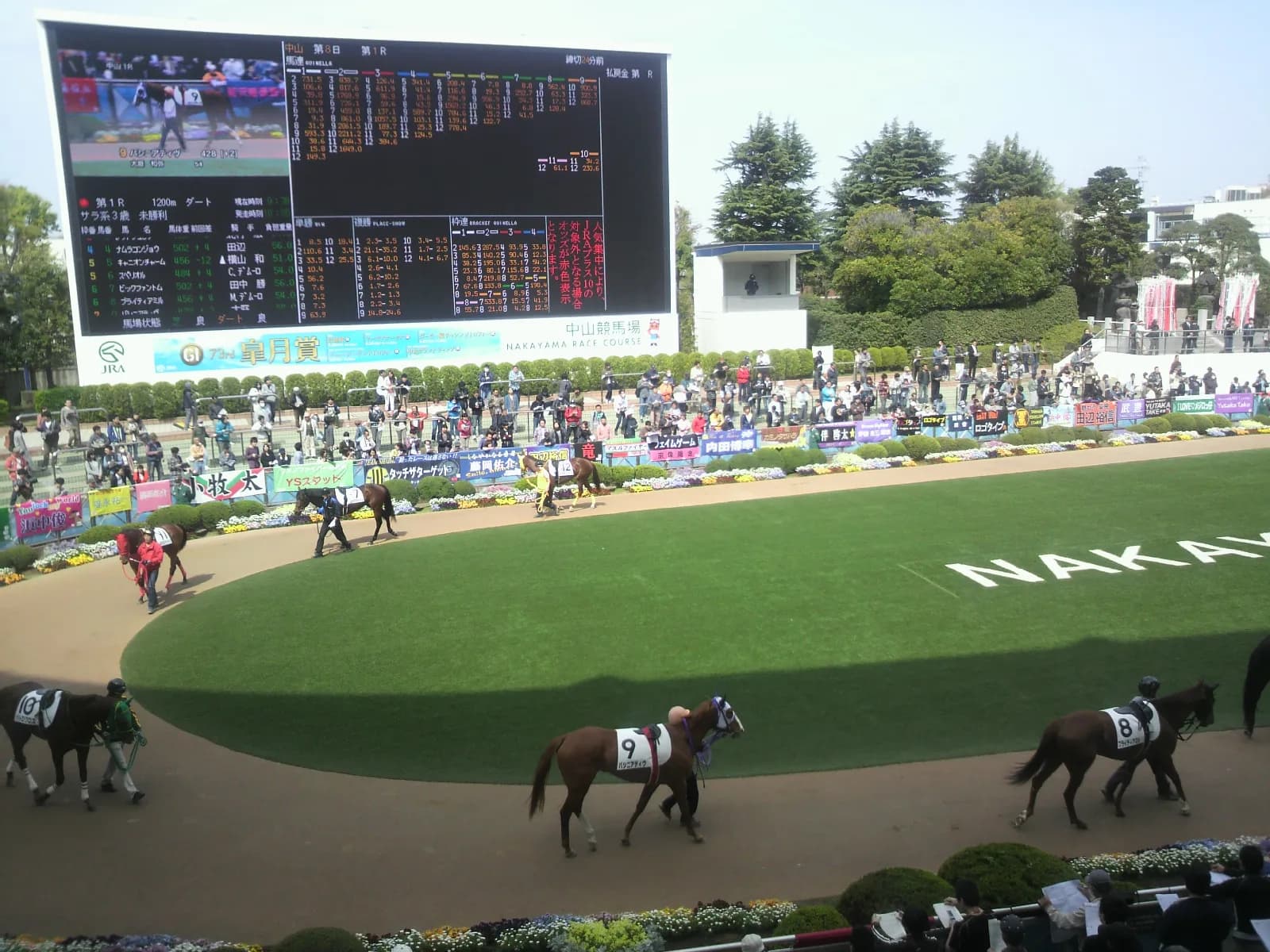 【セントライト記念予想2019】調教・最終追い切りが高評価の馬トップ3