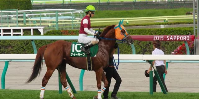 【スプリンターズS予想2016】中2週こそ真骨頂！大穴ティーハーフ