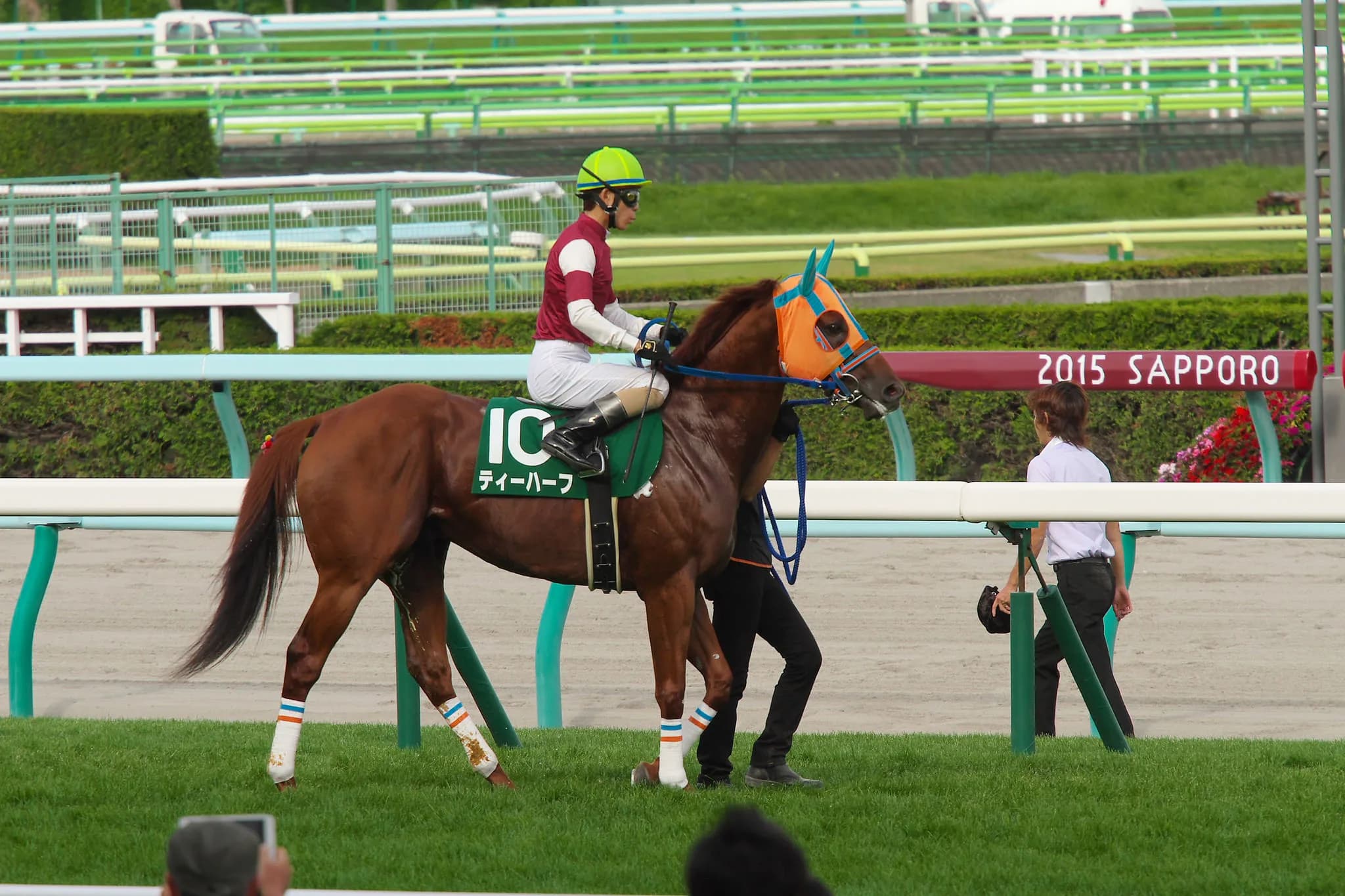 【スプリンターズS予想2016】中2週こそ真骨頂!大穴ティーハーフ