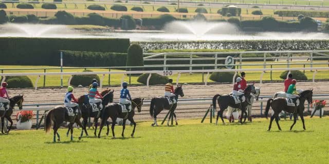 出走するだけで大変、スーパー未勝利