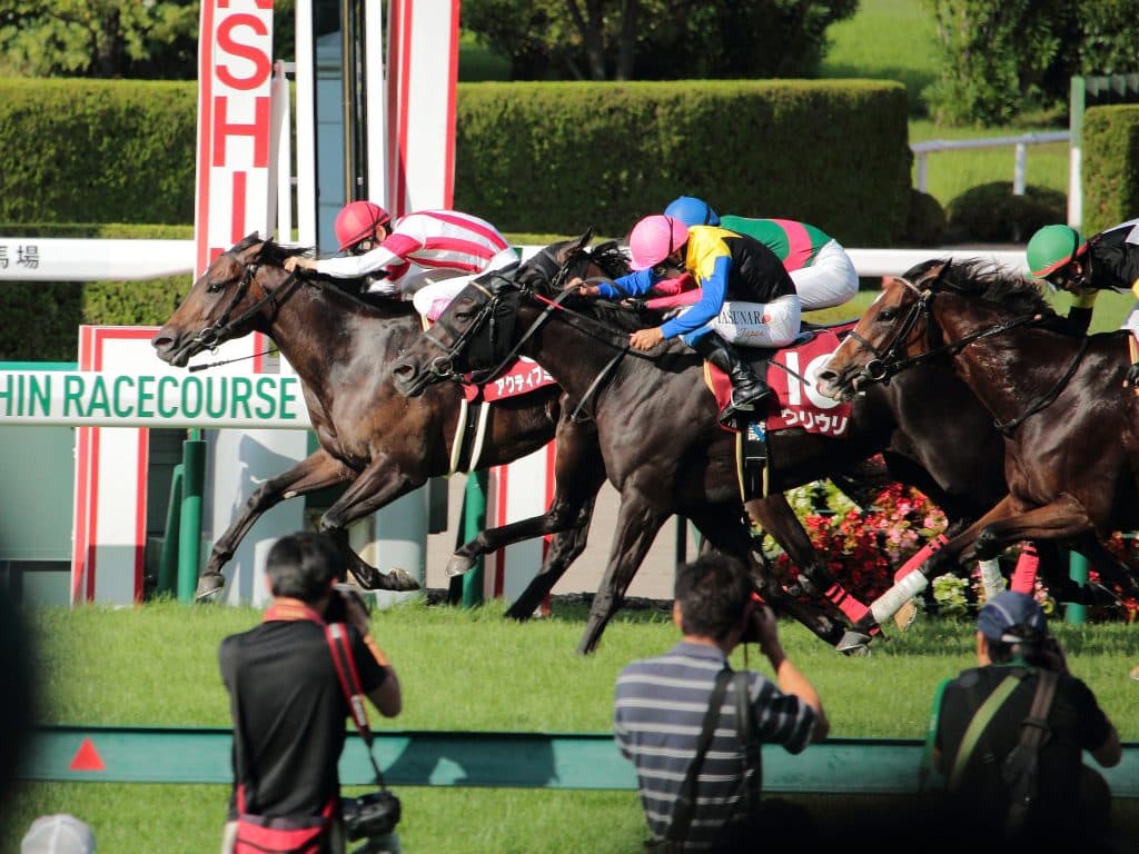 【JRA宝塚記念2025予想】激走パターンと合致した“有力馬4頭”を一挙公開！