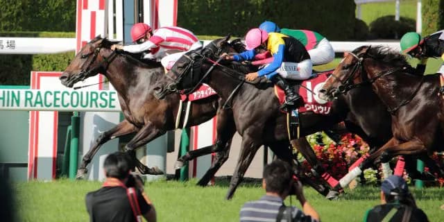 【フィリーズレビュー予想2023】桜花賞トライアル最終戦！ブトンドールやリバーラなど出走予定馬を考察