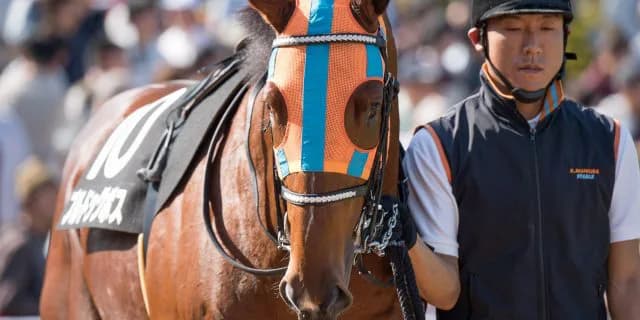 名は体をあらわす？兄に続けるかブルドッグギャル。