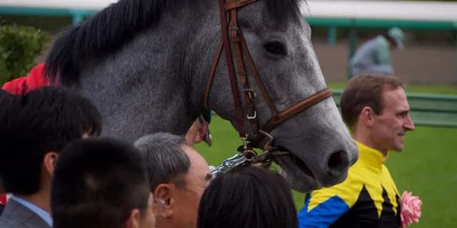 【セントライト記念2016予想】マウントロブソン実力上位、”勝ち負け”は当然