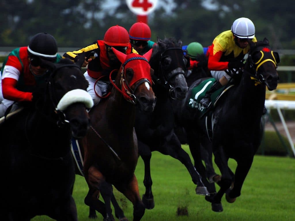 【新潟記念2016予想】波乱の使者となるか？バーディーイーグル