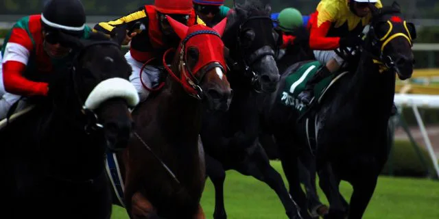 【新潟記念2016予想】波乱の使者となるか？バーディーイーグル