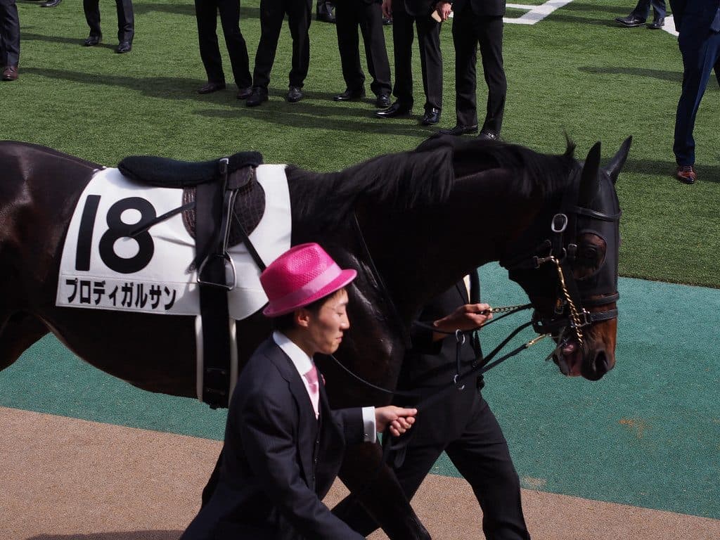 【セントライト記念2016予想】良血プロディガルサン、秋の舞台に花開く？！