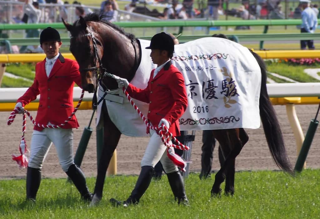 【ニエル賞2016】マカヒキ、凱旋門賞へ向けて準備着々と