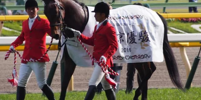 【ニエル賞2016】マカヒキ、凱旋門賞へ向けて準備着々と