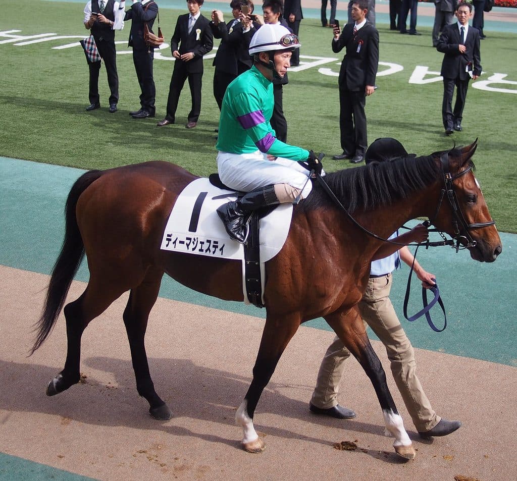 【セントライト記念2016予想】ディーマジェスティ危険、昨年同様スローで大波乱も？！