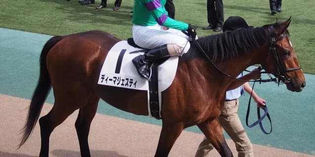 【セントライト記念2016予想】ディーマジェスティ危険、昨年同様スローで大波乱も？！