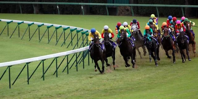 【AJCC予想2017】メイショウサムソン産駒期待の1頭”ルミナスウォリアー”ここで本格化か？