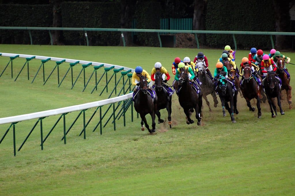 【有馬記念2017予想】今年の有馬記念の見所は？
