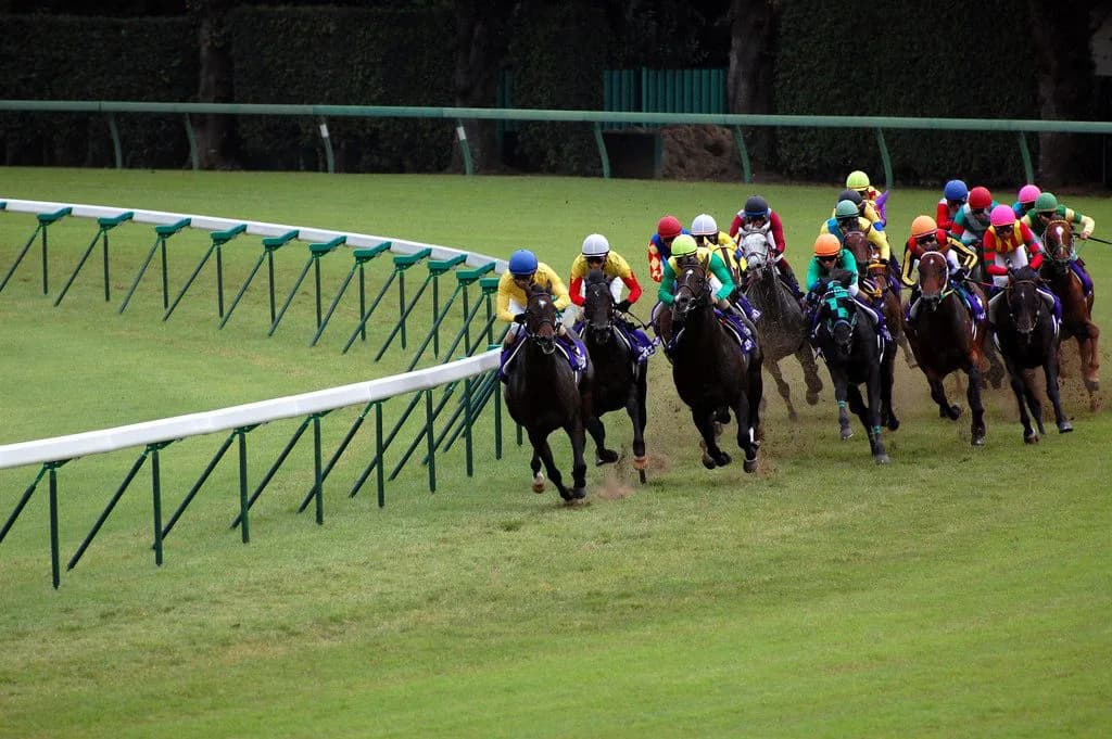 【有馬記念2017予想】今年の有馬記念の見所は？