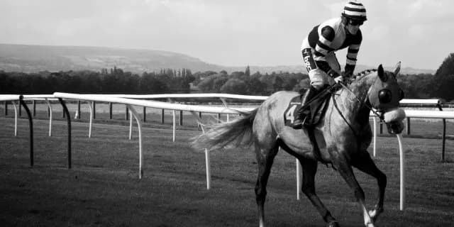 引退後の競走馬はどうなるか？