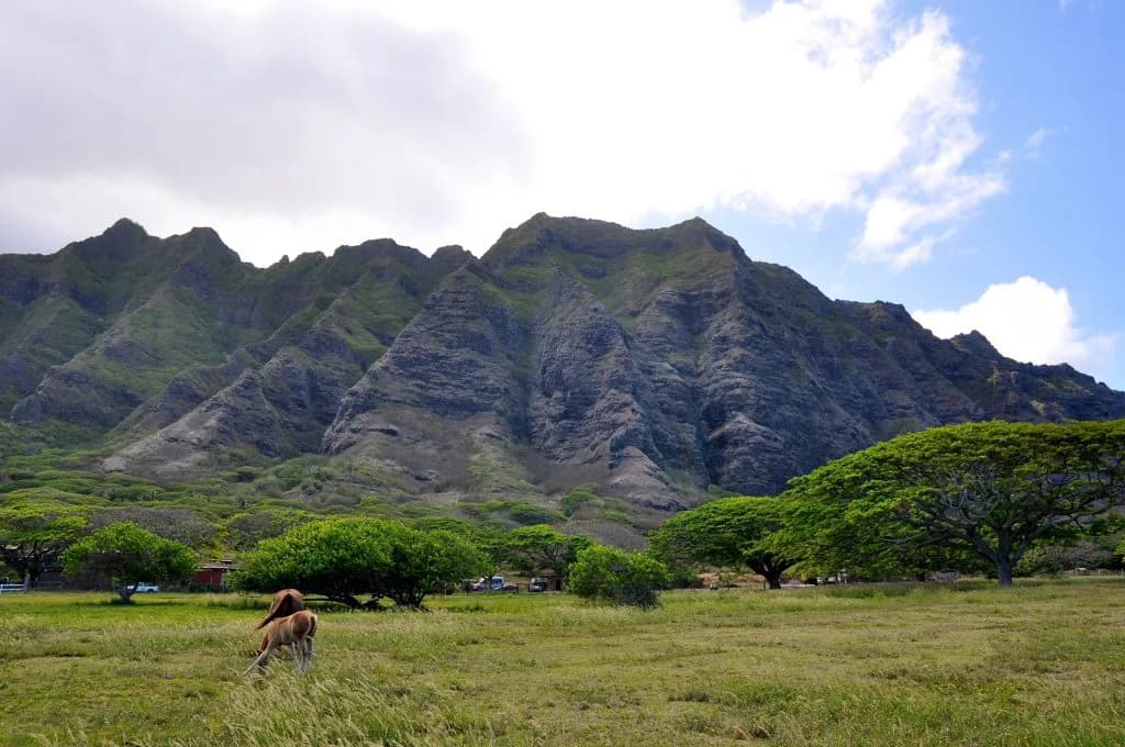 牧場の仕事は大変