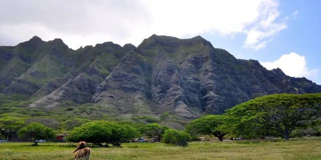 牧場の仕事は大変
