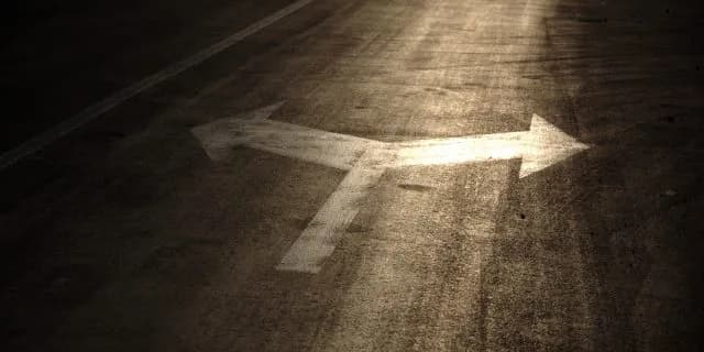 穴馬を選り分ける事が勝利への近道。