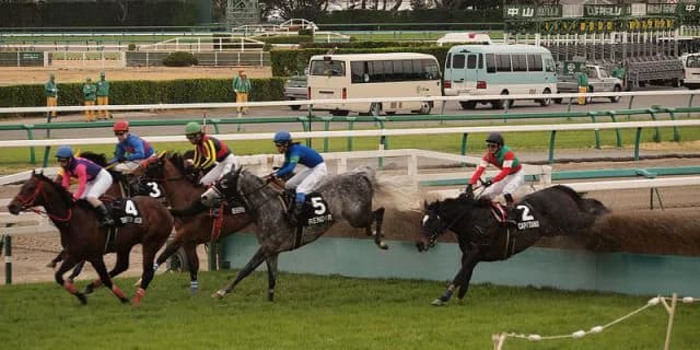 【阪神ジャンプS予想2016】アップトゥデイト、不調の兆しが見え隠れ