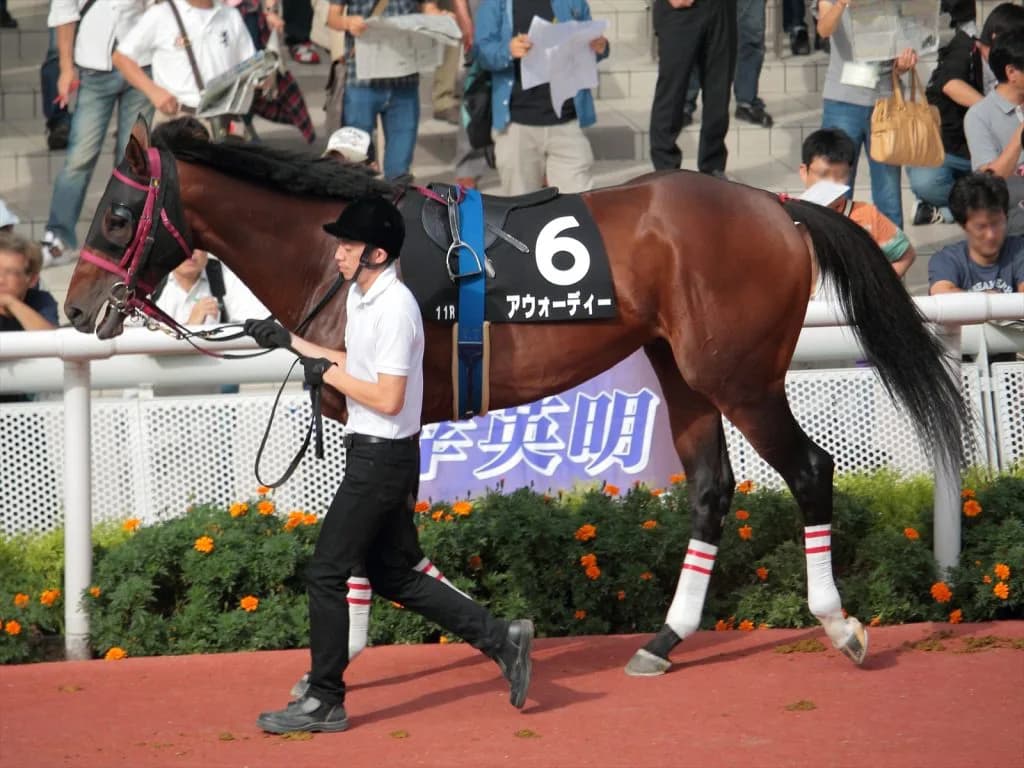 アウォーディーは川崎記念へ、G1初制覇をあげた舞台で復活V狙う