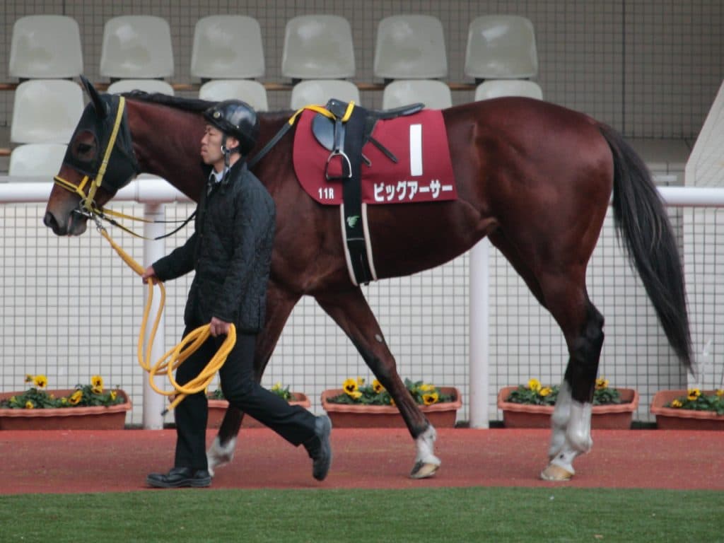【香港スプリント予想2016】ビッグアーサーにムーア騎手騎乗確定。自信と戦略こそが勝利の方程式！