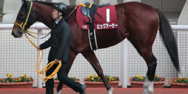 【スプリンターズS予想2016】ビッグアーサーは今回逃げない。その理由とは？