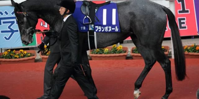 【スプリンターズステークス2016予想】1200mのメジャーエンブレム級？ブランボヌールが古馬スプリント陣をなぎ倒す！