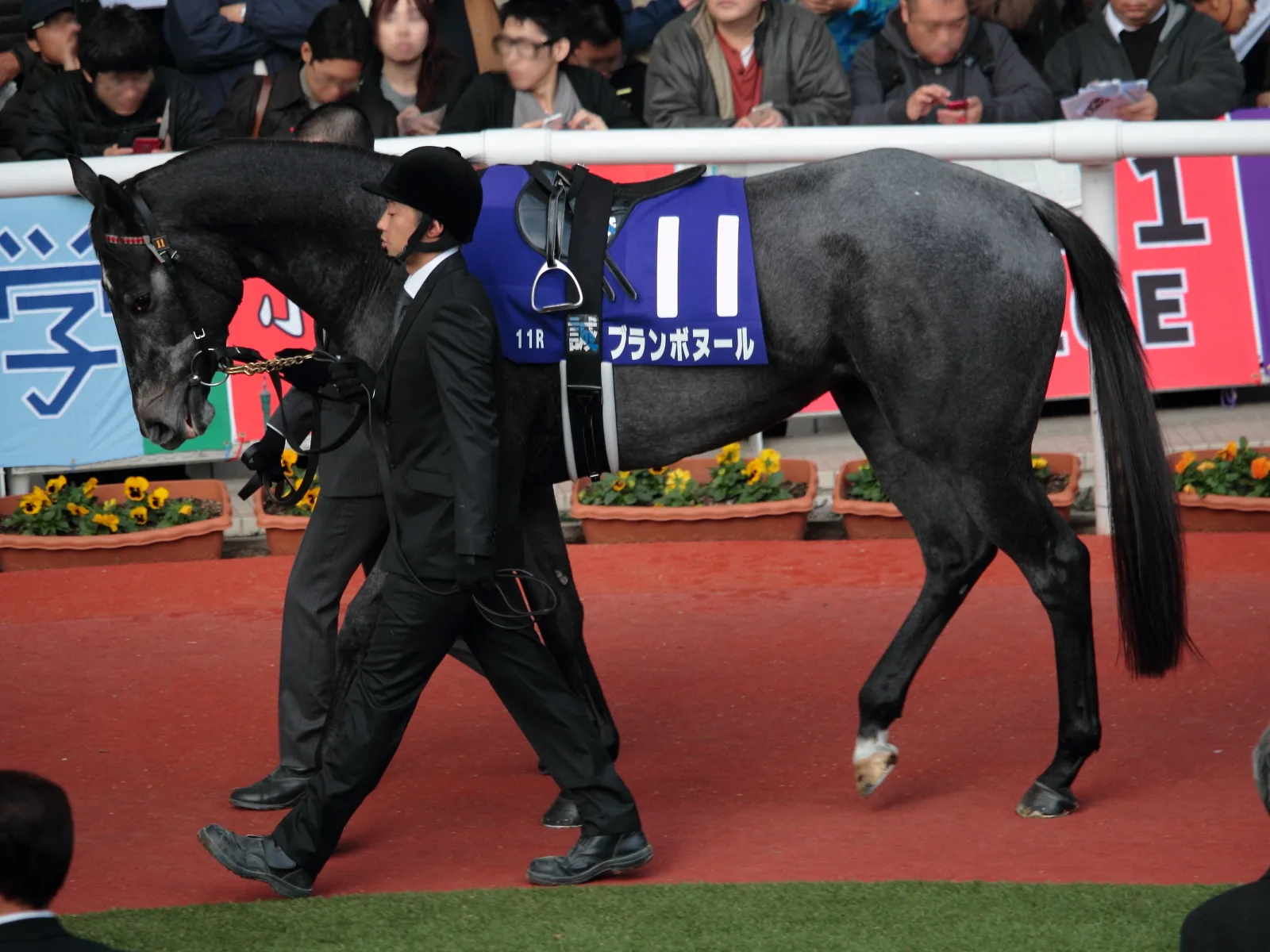 【スプリンターズステークス2016予想】1200mのメジャーエンブレム級？ブランボヌールが古馬スプリント陣をなぎ倒す！