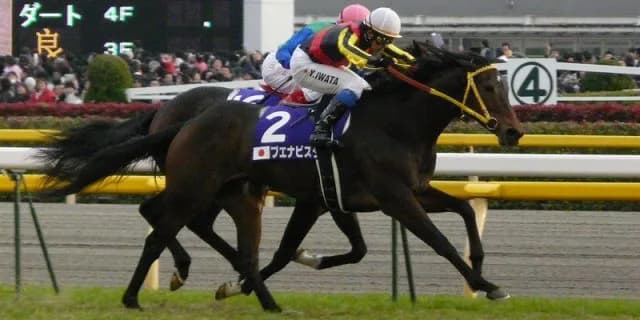 ブエナビスタ産駒の新馬戦は凄い