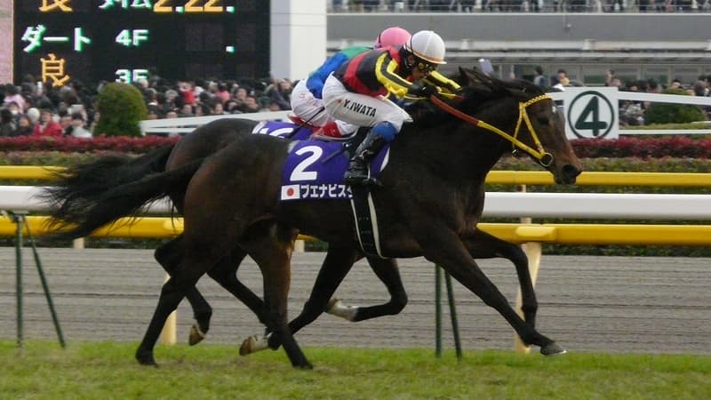 ブエナビスタ産駒の新馬戦は凄い