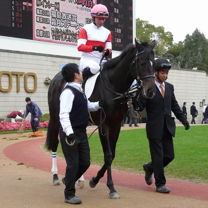 【ローズステークス2016予想】フォールインラブがお父さん譲りの末脚で追い比べ対決を制する！