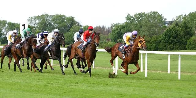【函館2歳S予想2017】モルトアレグロ芝適性やいかに？