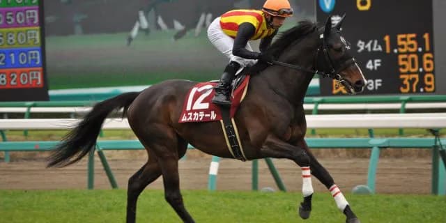 【新潟記念2016予想】長期休養明けを叩いたムスカテール・波乱の立役者はこの馬だ！