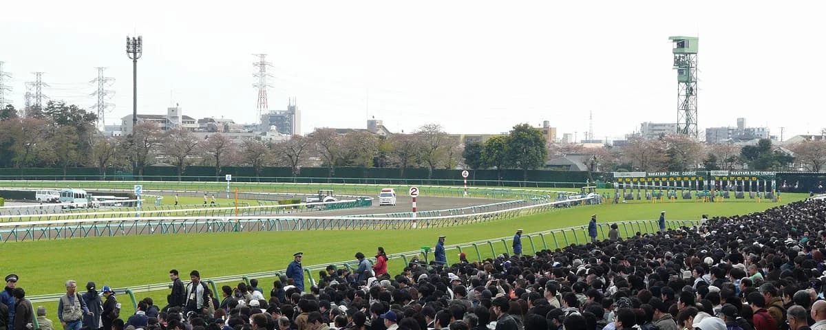 オジュウチョウサン、有馬記念参戦は本気！障害は有馬まで使わない？