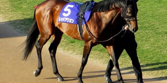 【セントウルS予想2016】ビッグアーサー絶対も初の1200mとなるレッドアリオンが面白い！