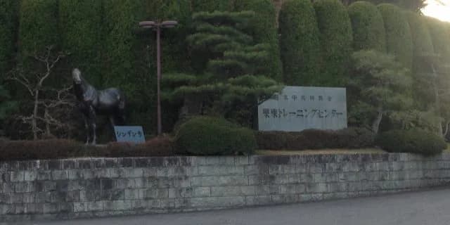 バックヤードツアーやトレセン見学、JRAのキャンペーン。