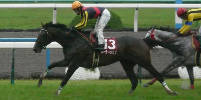 【注目新馬】ルーラーシップ産駒ブルークランズ