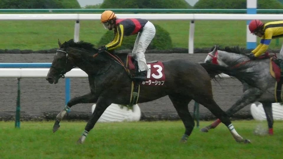 【注目新馬】ルーラーシップ産駒ブルークランズ