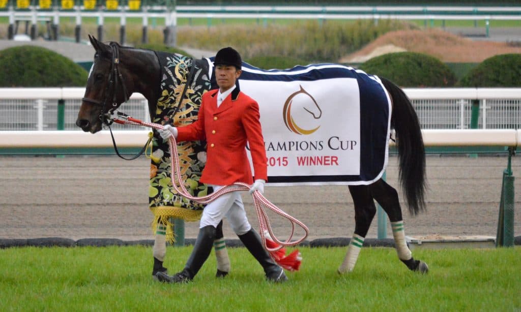 【レディスプレリュード予想2016】サンビスタの後継者は誰だ？