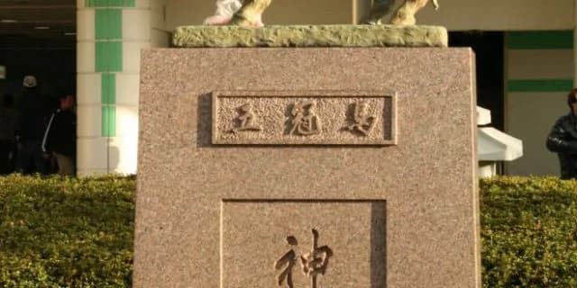 シンザン超えた？長野県でまだまだ現役の名馬シャムロット