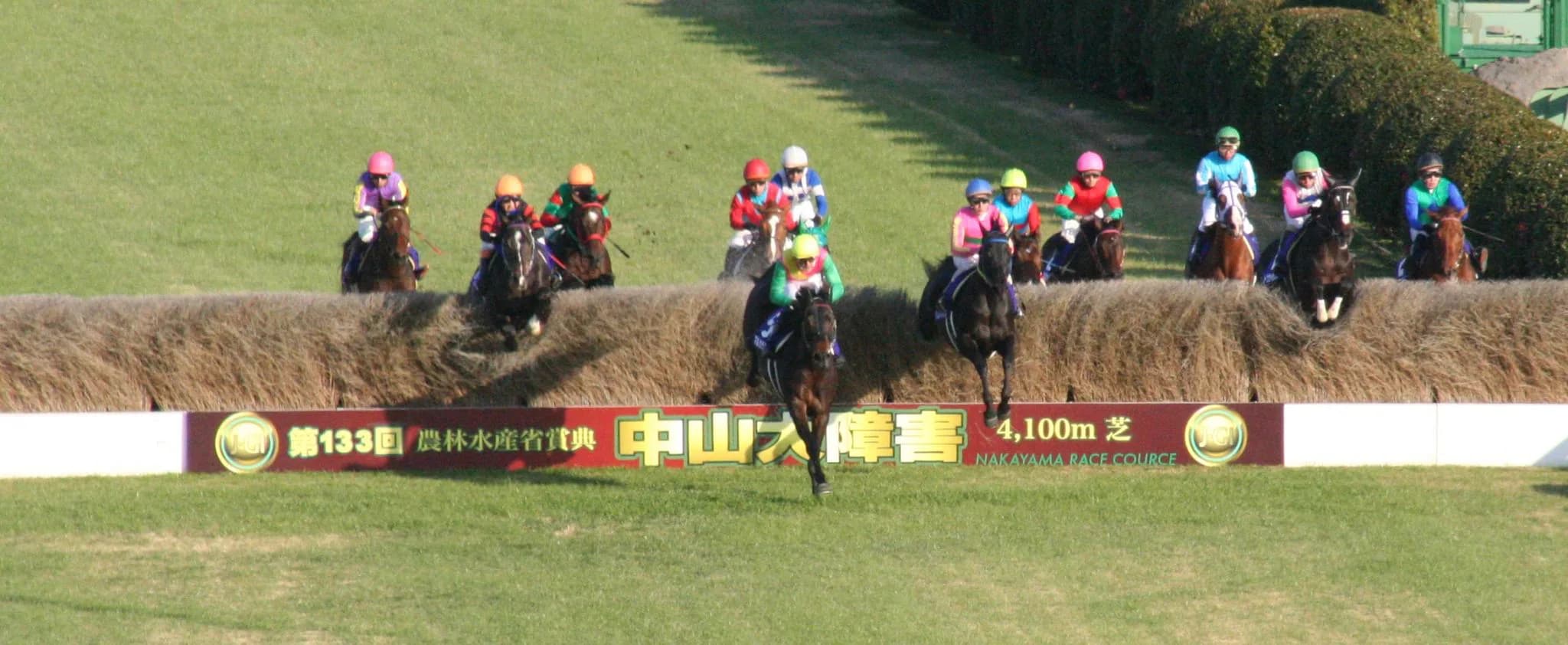 【イルミネーションJS予想2016】汚名返上し中山大障害へ・アイティテイオー