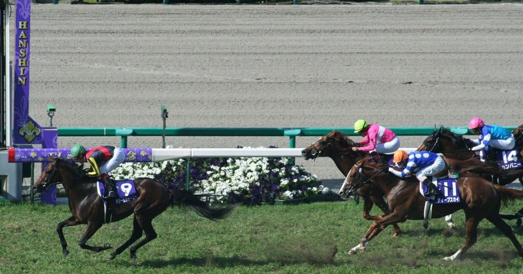 【セントライト記念2016予想】アルカサル、父の借りを返すならここ！