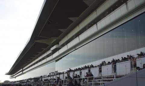 【紫苑S予想2016】記念すべき第1回目開催！オークス3着馬ビッシュで盤石か？