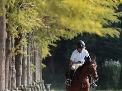 【シリウスS予想2016】穴馬はトラキチシャチョウ、リフレッシュされ巻き返し