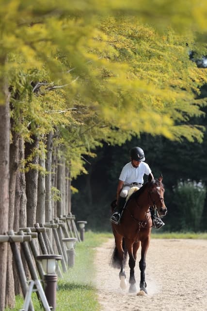 【東京競馬2017】復習の成果を見せるとき！待望の初勝利だマイネルクラース。