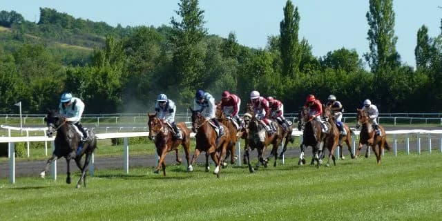 【カンナS予想】能力上位カシノマスト