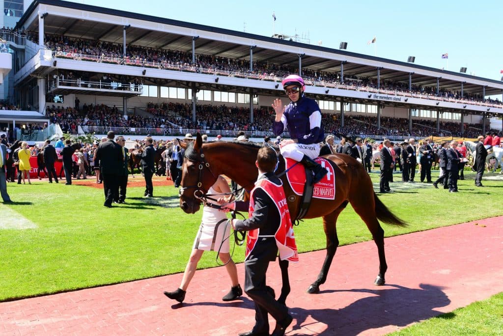 【メルボルンカップ予想2016】オッズが崩壊？！高配当獲得のビッグチャンス！