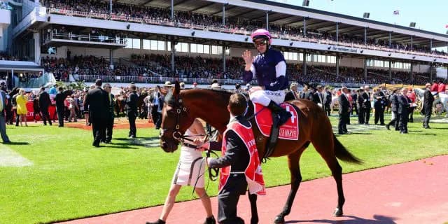 【メルボルンカップ予想2016】オッズが崩壊？！高配当獲得のビッグチャンス！