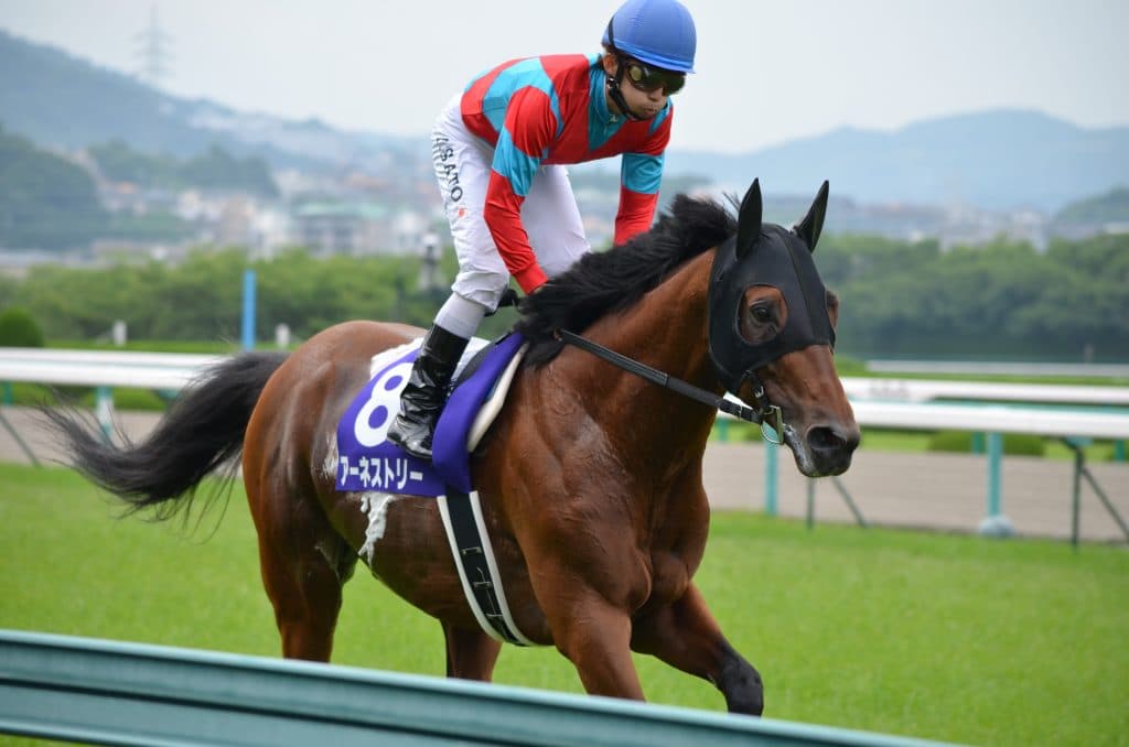 出世レース北野特別・データから導き出す2頭