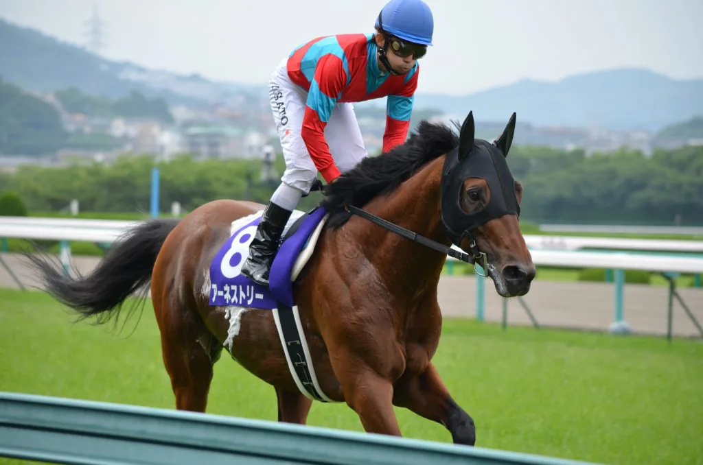 出世レース北野特別・データから導き出す2頭